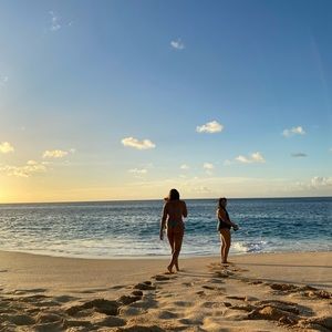 Meet your Posher, Harmony